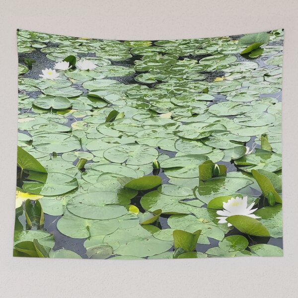 Item preview, Lotus Lake, REAL photograph designed and sold by GiSilver.