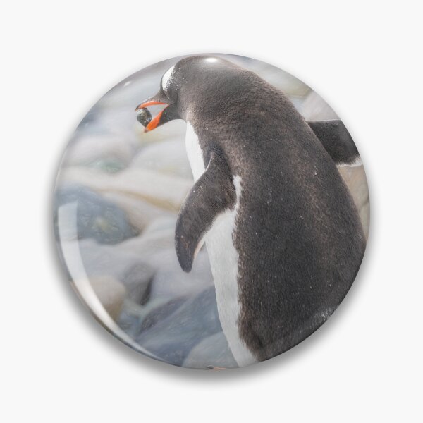 Item preview, Gentoo Penguin Courting Ritual Antarctica Artistic designed and sold by PhotoArt by Joan Carroll.