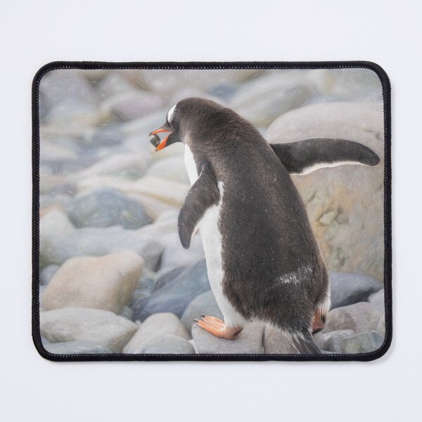 Item preview, Gentoo Penguin Courting Ritual Antarctica Artistic designed and sold by PhotoArt by Joan Carroll.