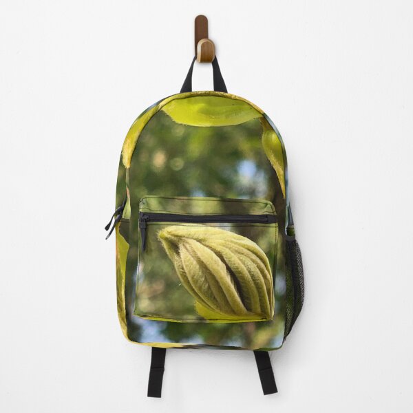 Item preview, unfurling leaf, REAL photograph designed and sold by GiSilver.