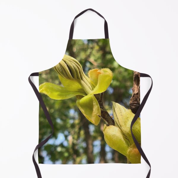 Item preview, unfurling leaf, REAL photograph designed and sold by GiSilver.