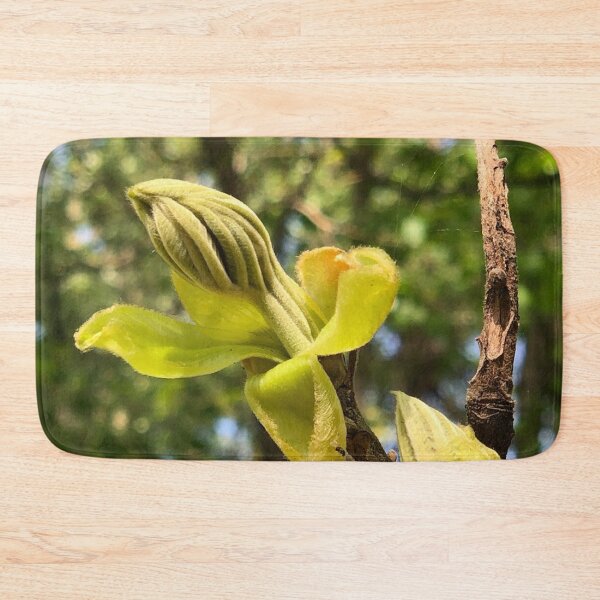 Item preview, unfurling leaf, REAL photograph designed and sold by GiSilver.