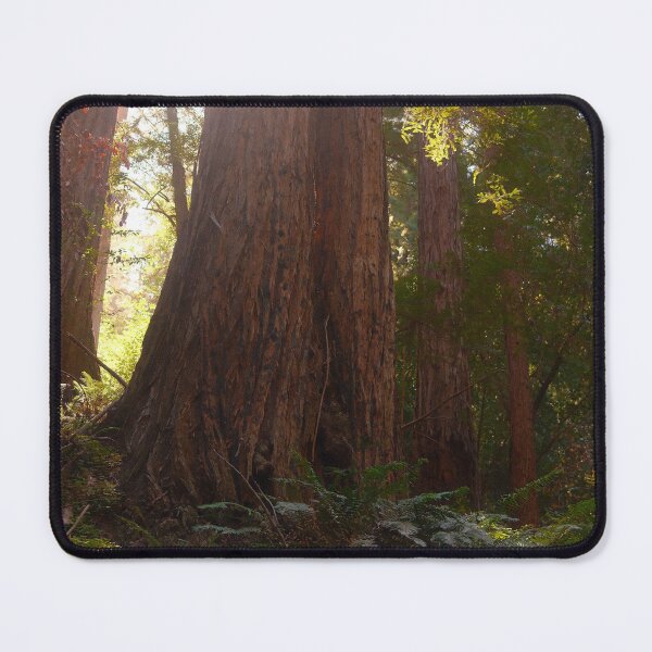 Item preview, Redwood Trees designed and sold by jnett1999.