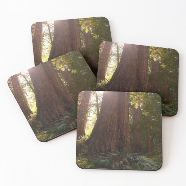 Item preview, Redwood Trees designed and sold by jnett1999.