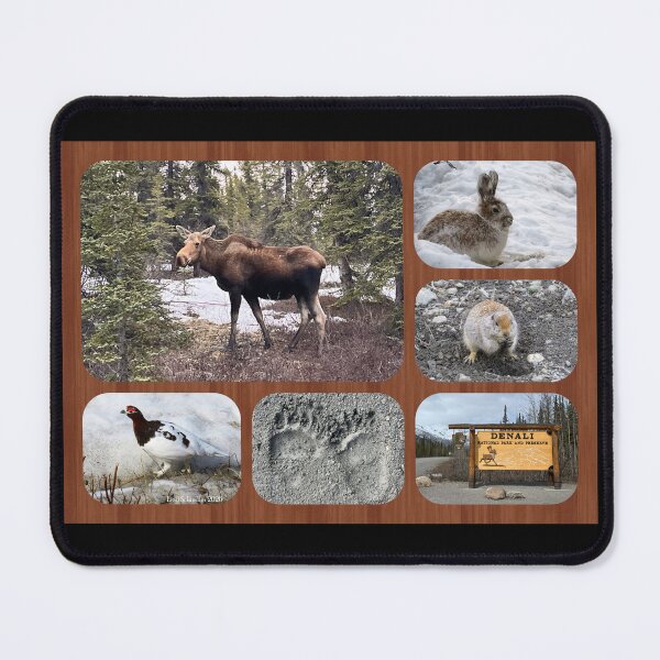 Item preview, Denali Wildlife designed and sold by sharkbait83.