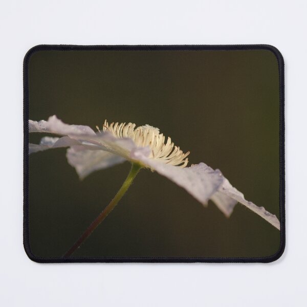 Item preview, Clematis designed and sold by Jens01SS.