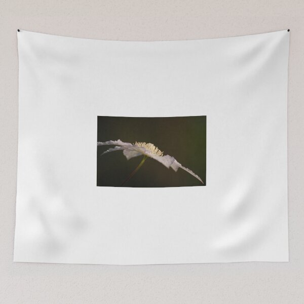 Item preview, Clematis  designed and sold by Jens01SS.