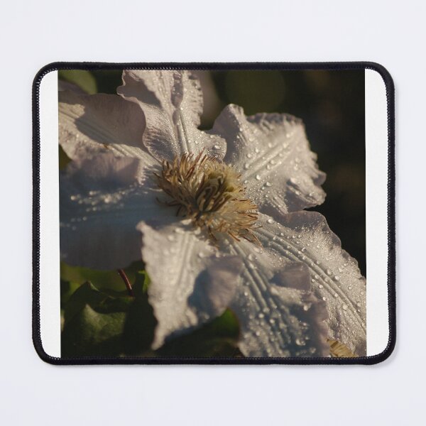 Item preview, Clematis Dew designed and sold by Jens01SS.