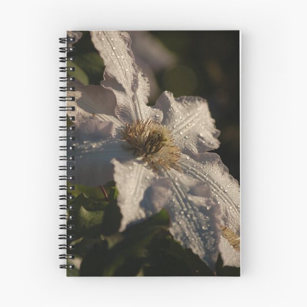 Item preview, Clematis Dew designed and sold by Jens01SS.