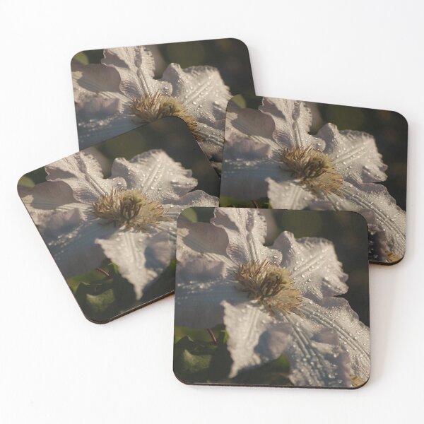 Item preview, Clematis Dew designed and sold by Jens01SS.