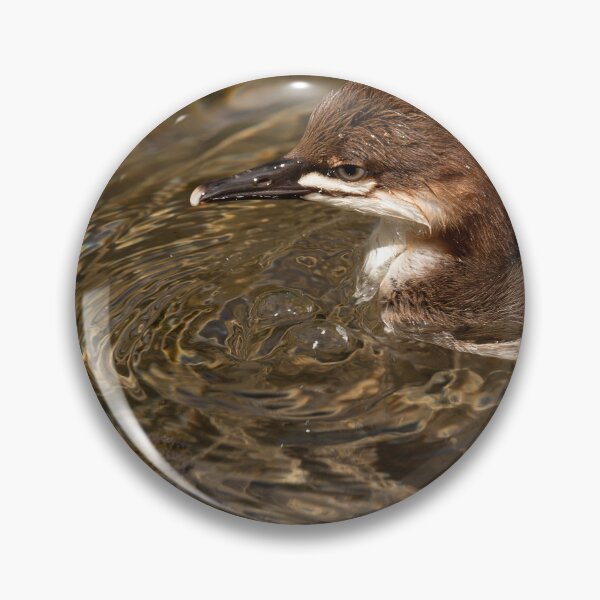 Item preview, Baby common merganser duck with dramatic reflections and ripples designed and sold by lisavonbiela.