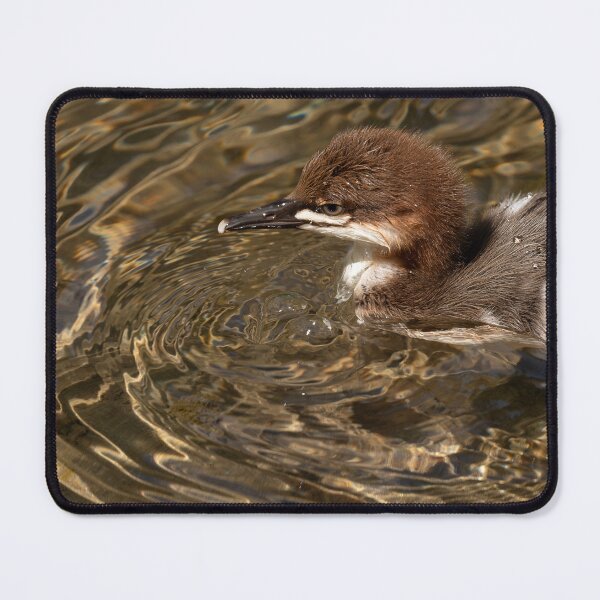 Item preview, Baby common merganser duck with dramatic reflections and ripples designed and sold by lisavonbiela.