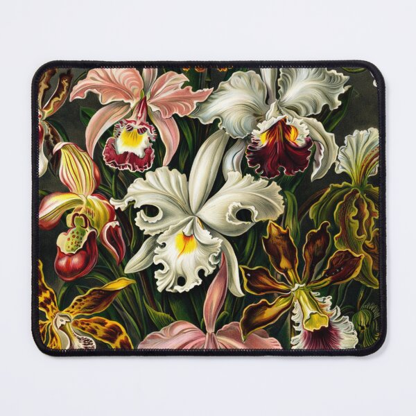 Item preview, Orchids Vintage Botanical Illustration Floral Art Lovers designed and sold by RickE.