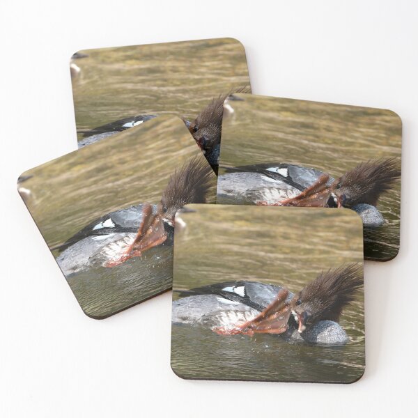 Item preview, Merganser mother in mid-scratch with her webbed foot and baby in background designed and sold by lisavonbiela.
