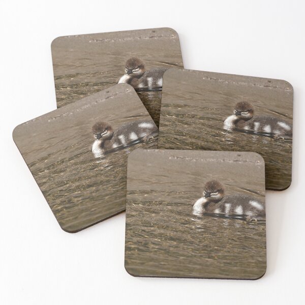 Item preview, Isolated baby common merganser duck near lakeshore designed and sold by lisavonbiela.