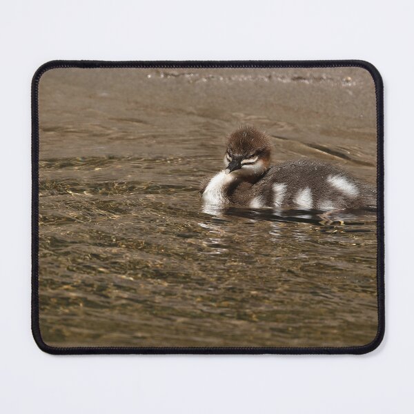 Item preview, Isolated baby common merganser duck near lakeshore designed and sold by lisavonbiela.