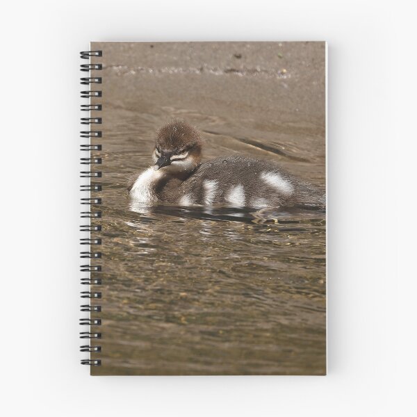 Item preview, Isolated baby common merganser duck near lakeshore designed and sold by lisavonbiela.