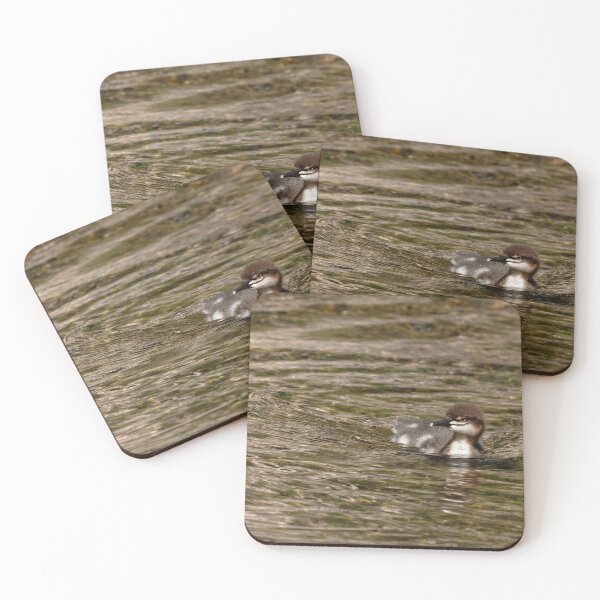 Item preview, Baby common merganser duck paddling toward viewer and creating a wake designed and sold by lisavonbiela.