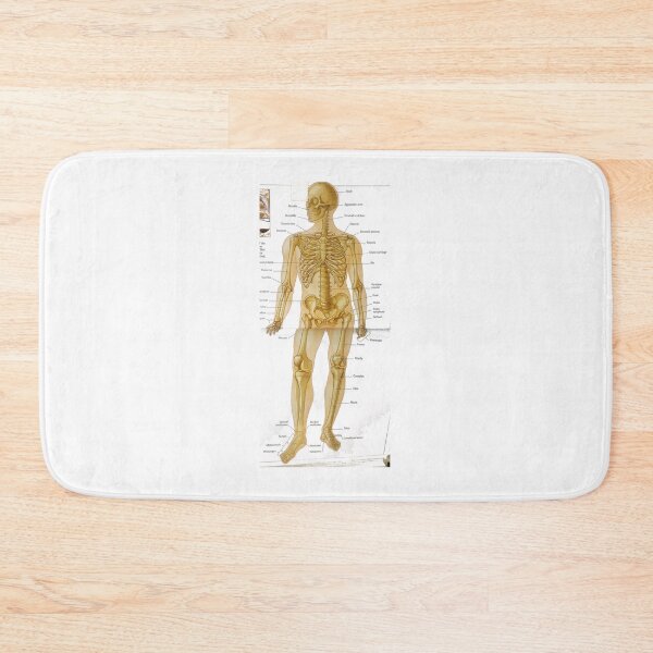 Item preview, anatomical bone drawing  designed and sold by Cedartown.