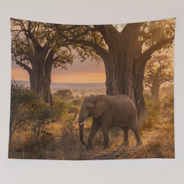 Item preview, African Elephant and Majestic Baobab Trees Sunset designed and sold by Quiet life.