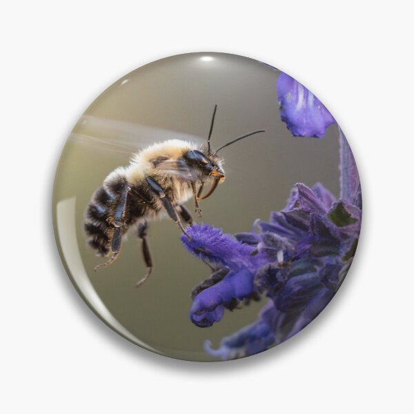 Item preview, Honeybee  designed and sold by salimax.