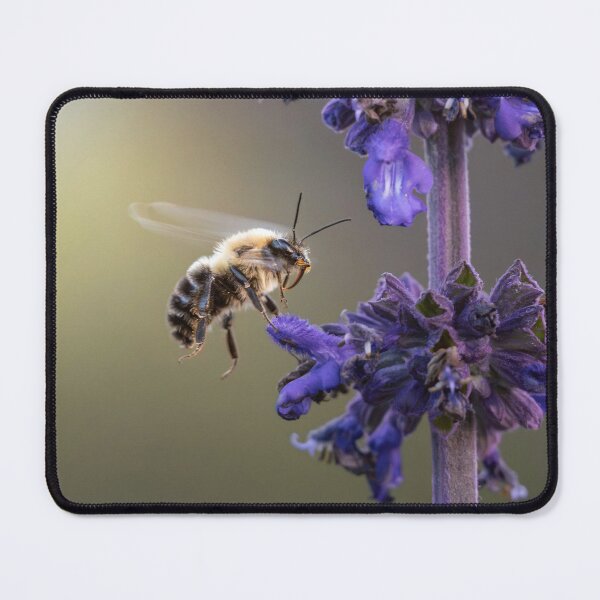 Item preview, Honeybee designed and sold by salimax.