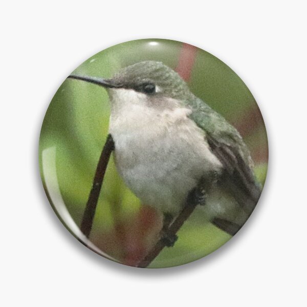 Item preview, A Female Ruby throated Hummingbird designed and sold by Judy Geller.