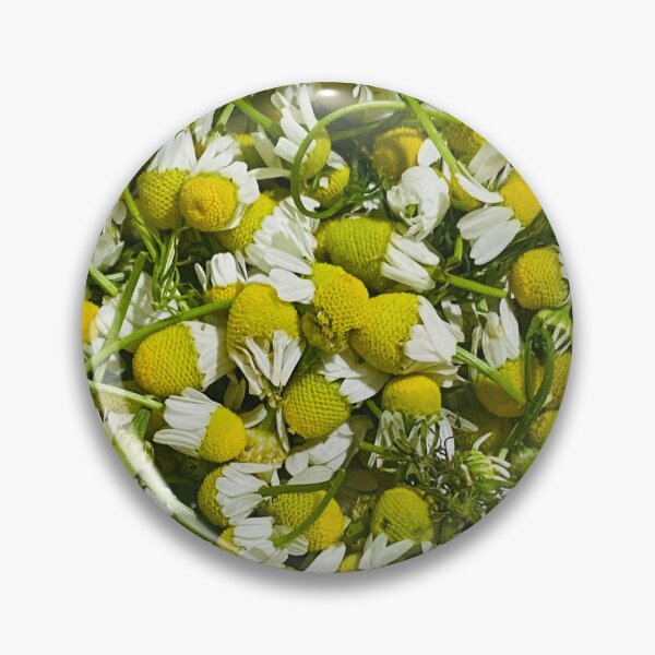 Item preview, Fresh Harvest Chamomile Flower Heads Herbal Pattern designed and sold by BalkanBloomArt.