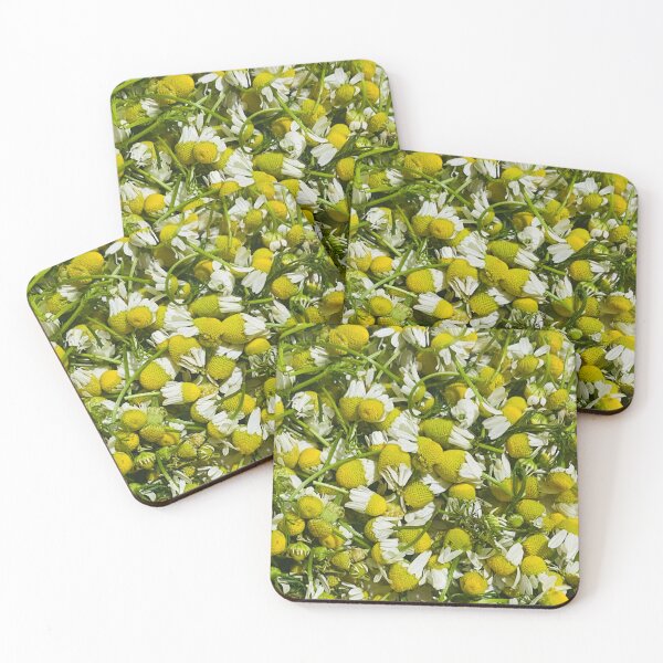 Item preview, Fresh Harvest Chamomile Flower Heads Herbal Pattern designed and sold by BalkanBloomArt.