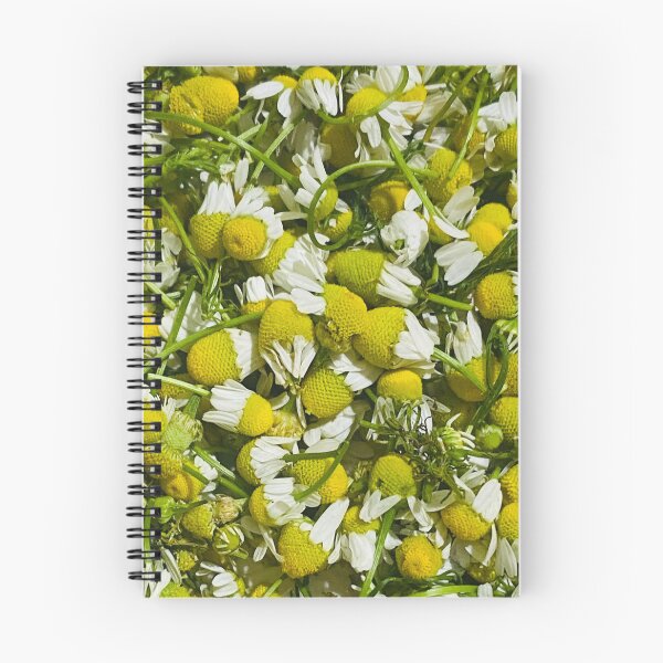 Item preview, Fresh Harvest Chamomile Flower Heads Herbal Pattern designed and sold by BalkanBloom.