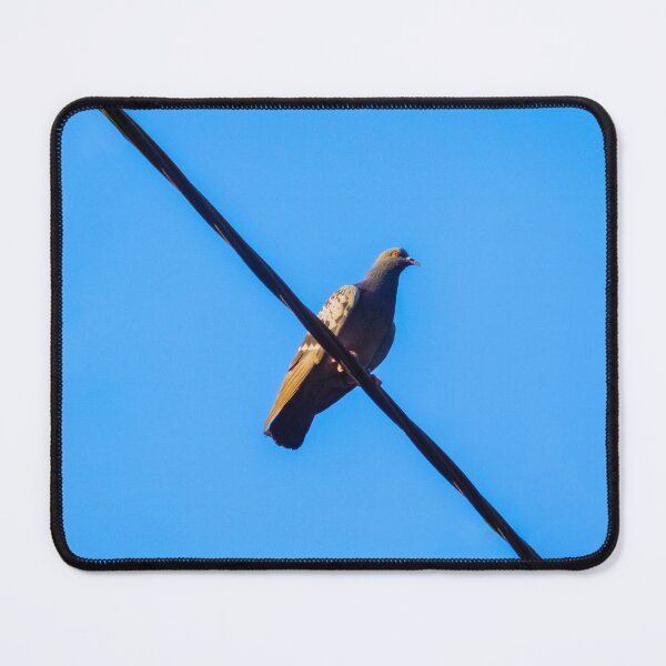 Item preview, Pigeon On Power Lines designed and sold by LueNoir.