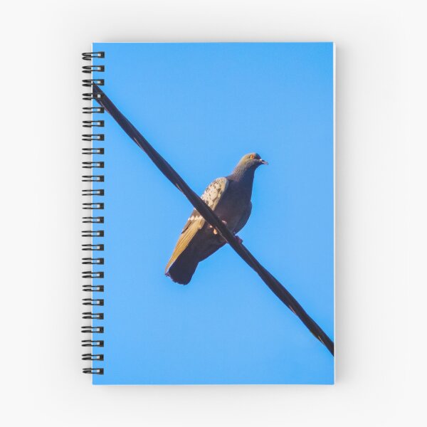 Item preview, Pigeon On Power Lines designed and sold by LueNoir.