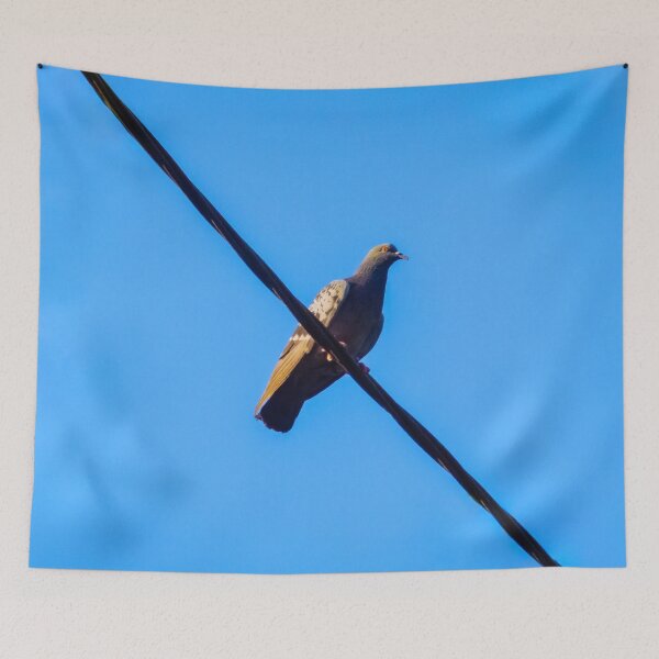 Item preview, Pigeon On Power Lines designed and sold by LueNoir.