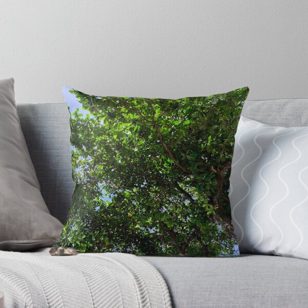 Item preview, Tropical Almond Tree Canopy Brazil Nature Photography designed and sold by Ayiti-Mar.