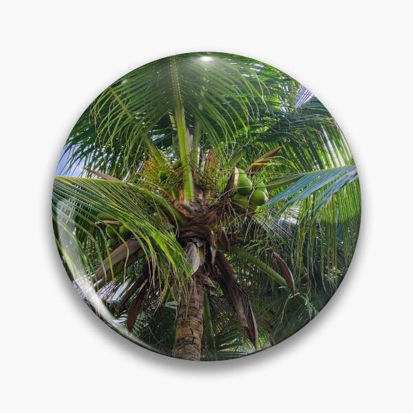 Item preview, Coconut Palm Tree Looking Up Tropical Wall Art designed and sold by Ayiti-Mar.