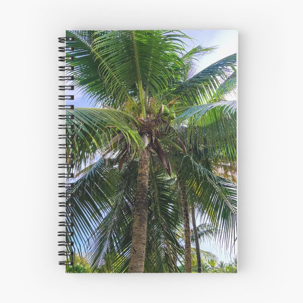 Item preview, Coconut Palm Tree Looking Up Tropical Wall Art designed and sold by Ayiti-Mar.