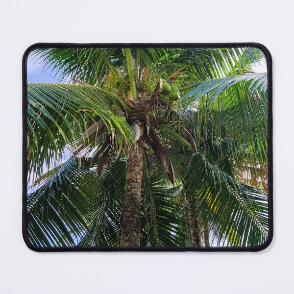 Item preview, Coconut Palm Tree Looking Up Tropical Wall Art designed and sold by Ayiti-Mar.