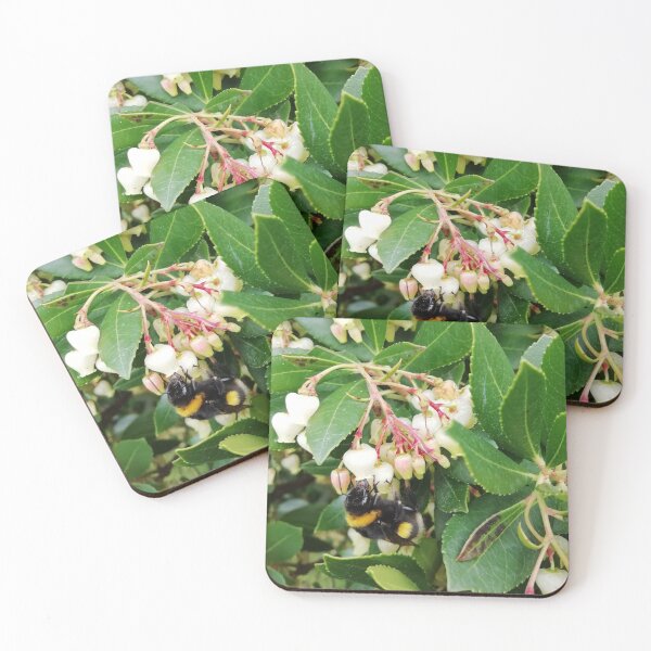 Item preview, Spring Bumble Bee | EDINSTEPPE Collection  designed and sold by E D I N S T E P P E.