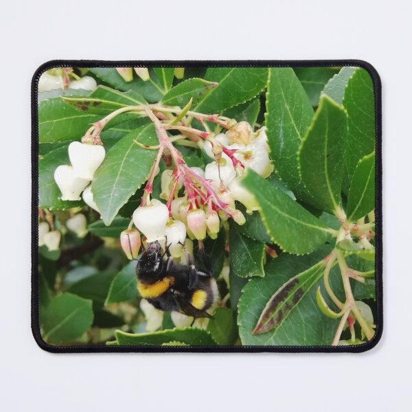 Item preview, Spring Bumble Bee | EDINSTEPPE Collection  designed and sold by E D I N S T E P P E.