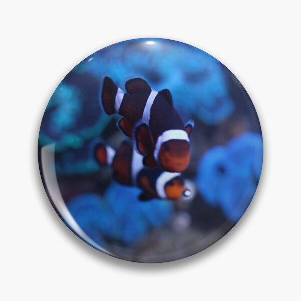 Item preview, Clown fish aquarium designed and sold by Silkywayshop.