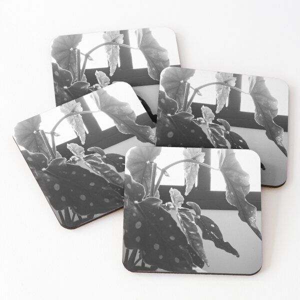 Item preview, Black and White Indoor Window Plant Minimalist Photography designed and sold by Ayiti-Mar.