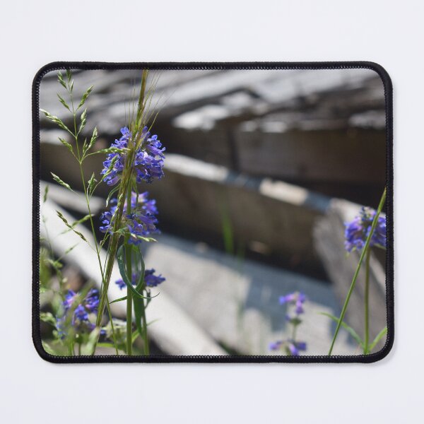 Item preview, Coolidge Wildflowers designed and sold by MontanaWilds.