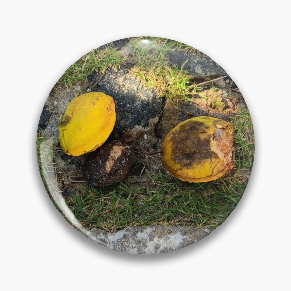 Item preview, Tropical Yellow Fruit Cobblestone Street Nature Photography designed and sold by Ayiti-Mar.