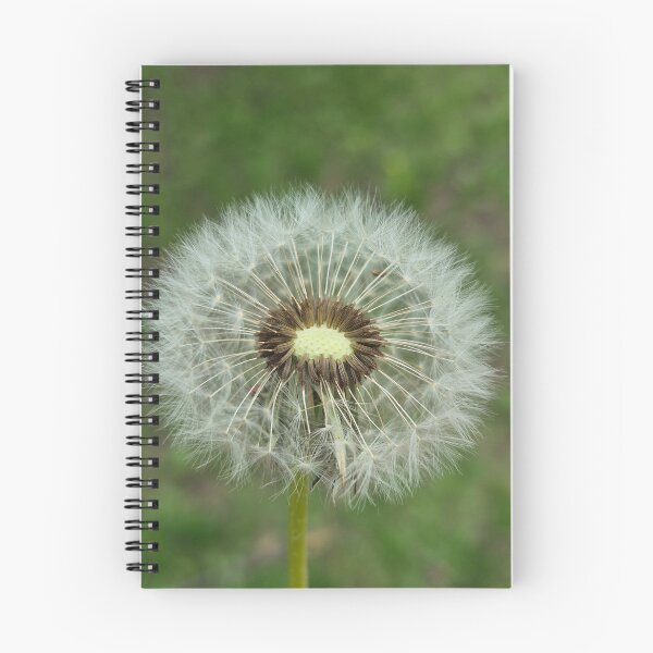 Item preview, Dandelion puff designed and sold by R en Fleurs.