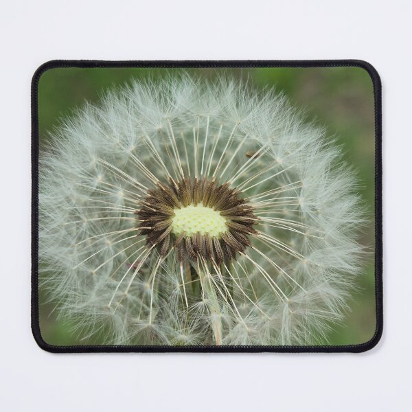 Item preview, Dandelion puff designed and sold by R en Fleurs.