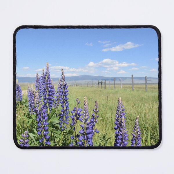 Item preview, Big Hole Lupine designed and sold by MontanaWilds.