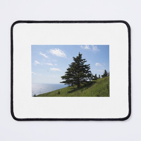 Item preview, Cape Split tree designed and sold by TheFundyMist.
