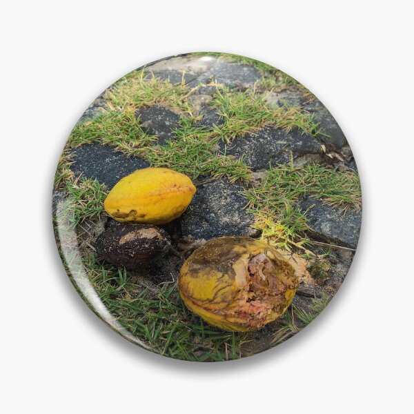 Item preview, Tropical Yellow Almond Cobblestone Street Nature Photography designed and sold by Ayiti-Mar.