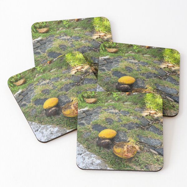 Item preview, Tropical Yellow Almond Cobblestone Street Nature Photography designed and sold by Ayiti-Mar.