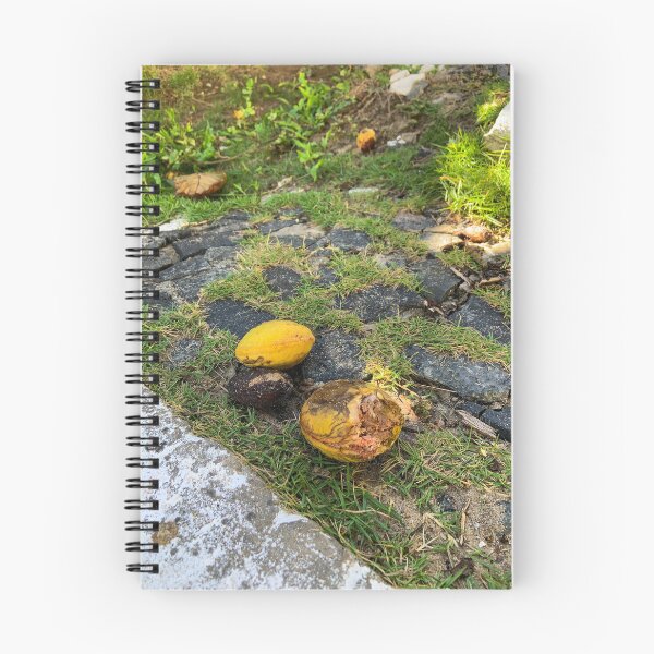 Item preview, Tropical Yellow Almond Cobblestone Street Nature Photography designed and sold by Ayiti-Mar.